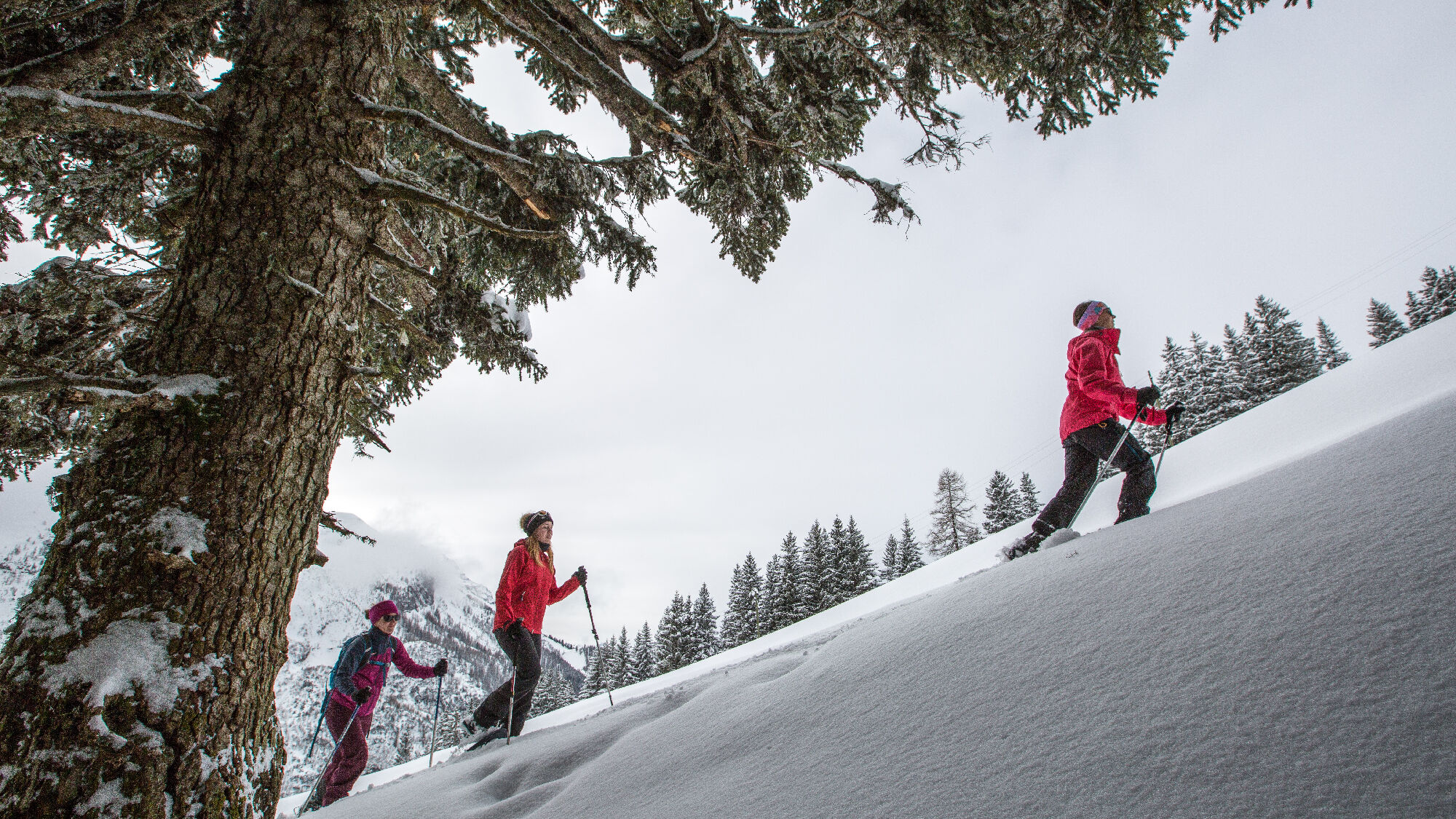 Winter vom Feinsten: Skispaß in den Perlen der Alpen
