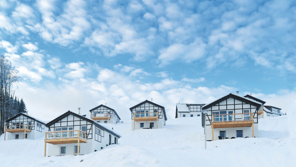 Ferienhäuser Landal Winterberg