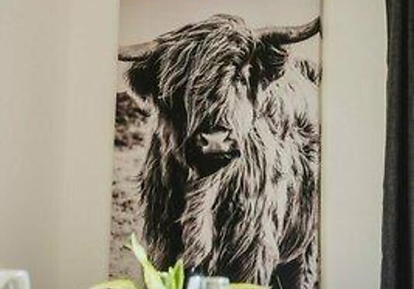 iP9NoMBPS152DlOGvyZ5