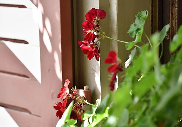 Adler Landhotel & Restaurant