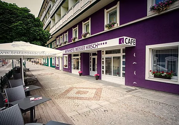 AKTIVHOTEL Weisser Hirsch