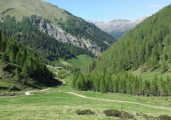Blick auf die Alfenalm und das Villgratental