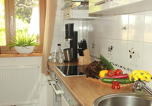 komplett ausgestattete Küche mit Backofen und Spül