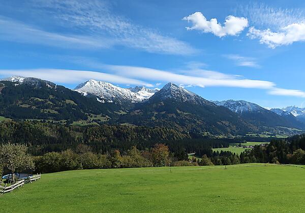 Zuckerguss_im_Sommer