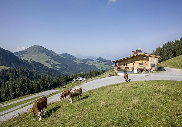 Alm_Appartement_Bromberg_33_Soell_Haus_Sommer_3