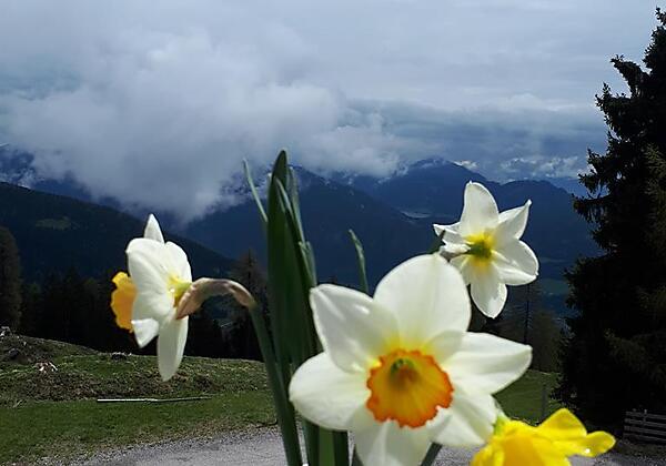Blick von der Terasse