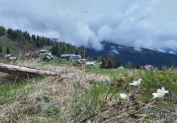 Emberger Alm