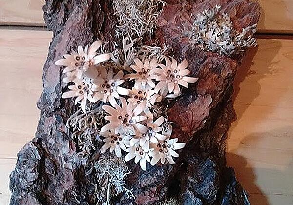 Dekoration "Edelweiß"