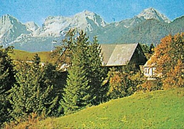 Almhof Wurbauer im Sommer