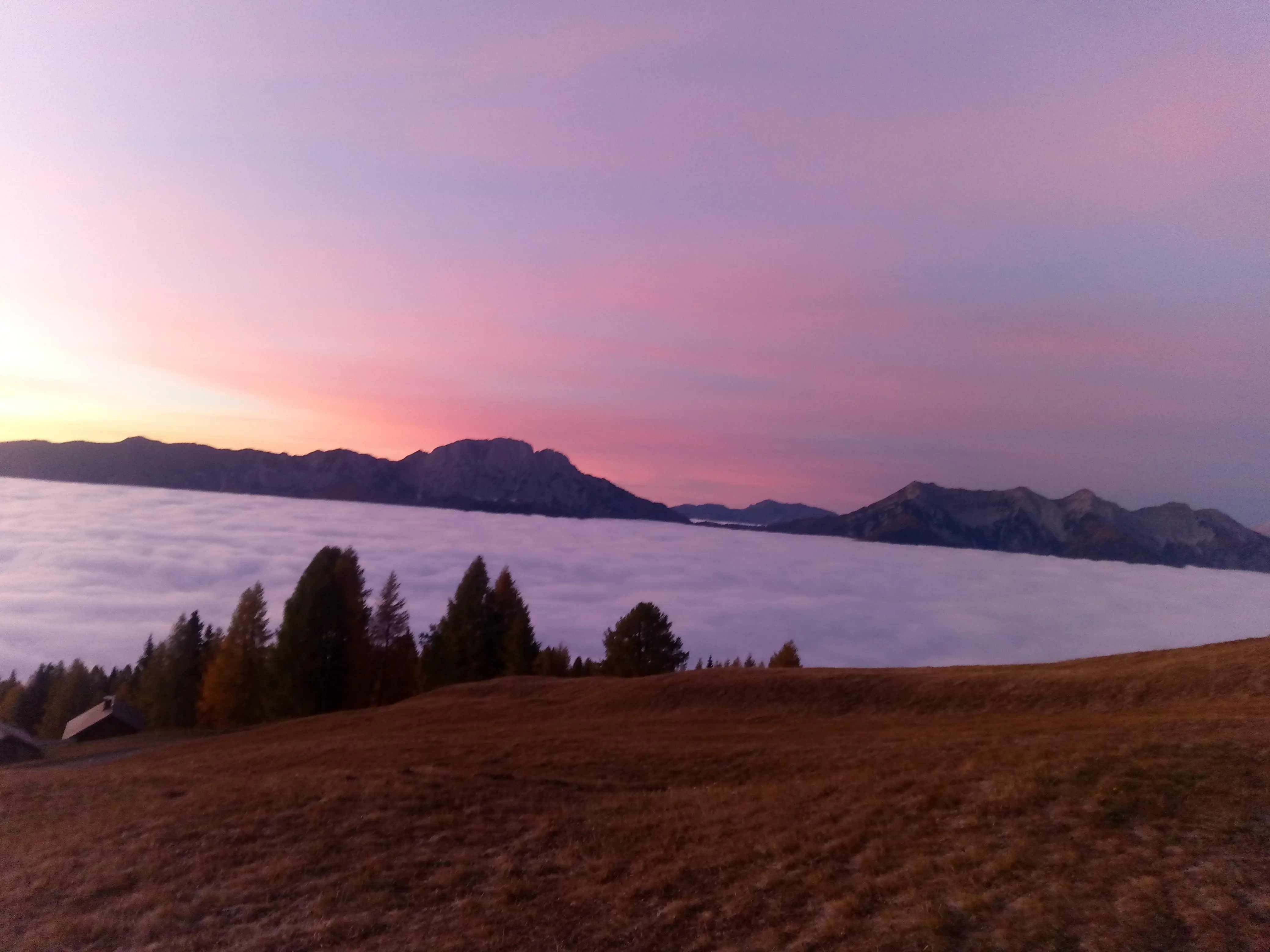 Morgenstimmung