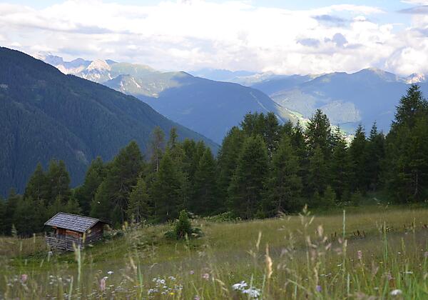 Weg zur Alm