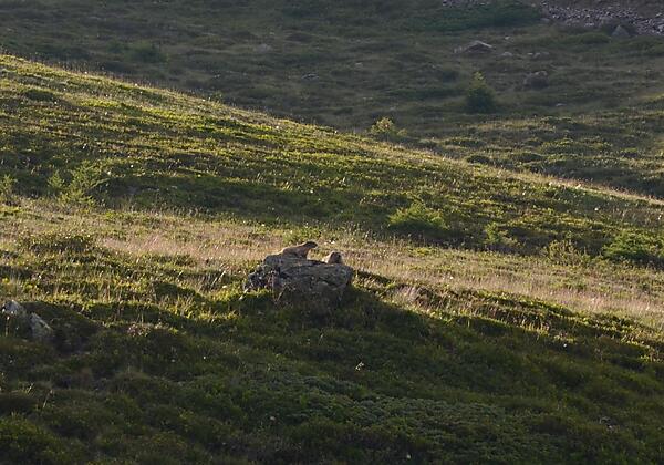 Almhütte vorne
