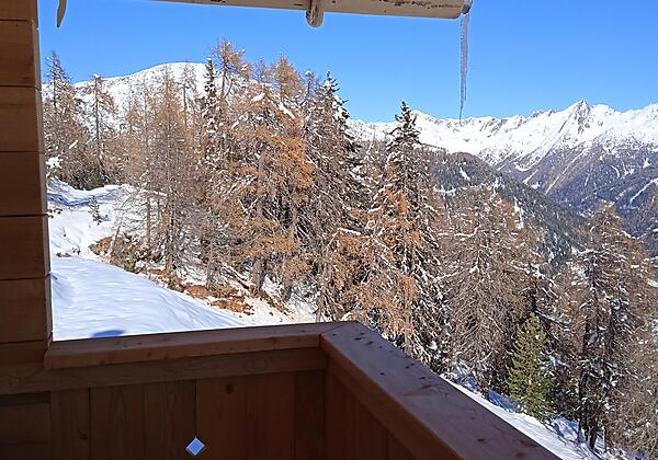 Sommer auf der Alm