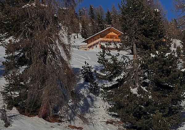 cc2728a1-f738-482a-8c12-673adfc96373