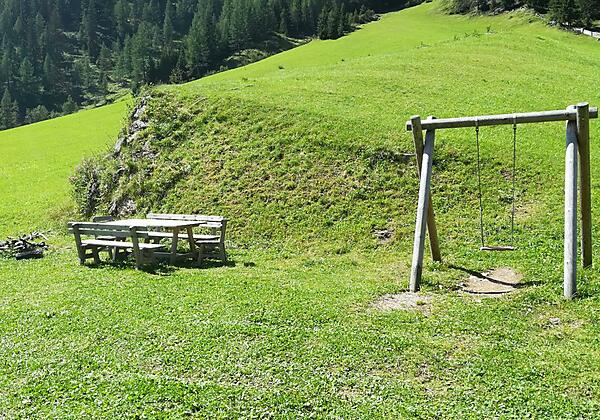 Almhütte mit anligender Almwiese