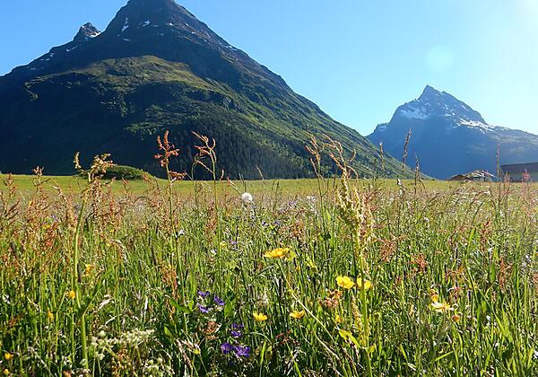 Gorfen und Ballunspitze