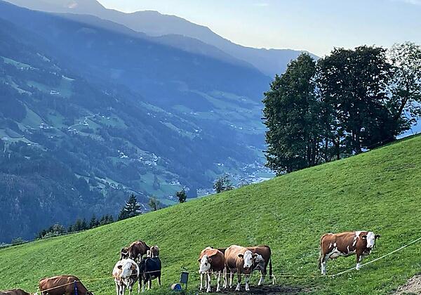 f89896c7-2c73-460a-bb15-03298068f8d6