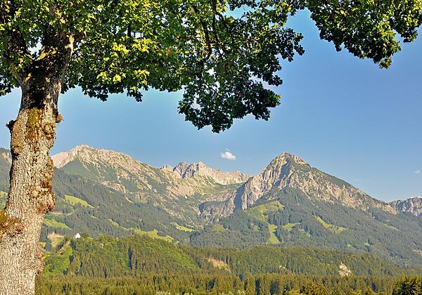 Immer mit den besten Aussichten