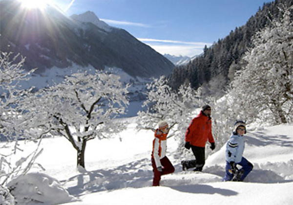 419_Alpenhotel Fernau_SH