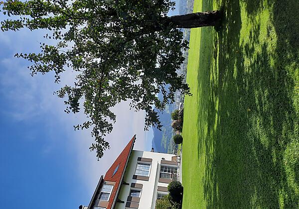 Hauseck mit Apfelbaum