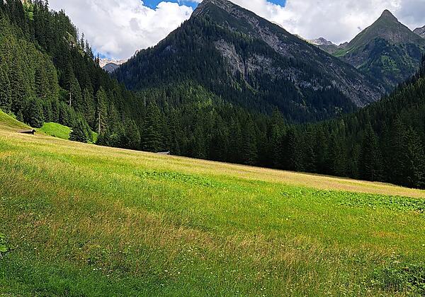 Bergwiese Madau