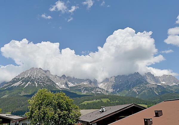 App. Löwenzahn - Ausblick