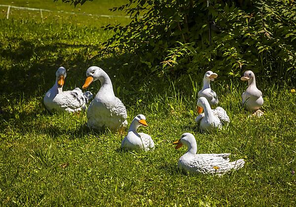 20190809_AmFerienbauernhofAussen_095_klein