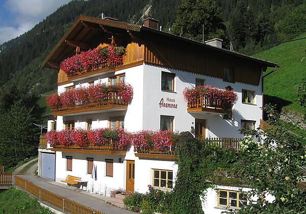 Hausanischt Sommer 1