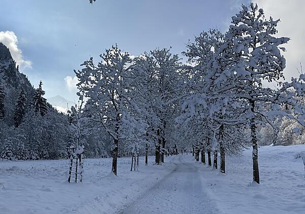 Winteranfang November 2025