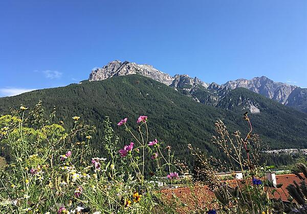 Blick auf den Sonnenstein