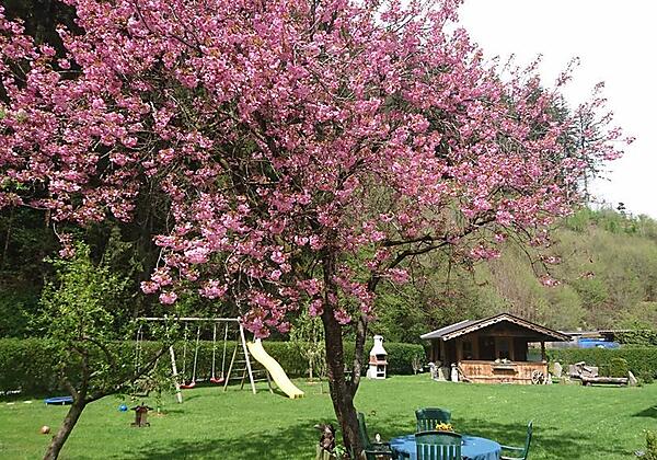 Haus Eberharter Spielplatz und Liegewiese