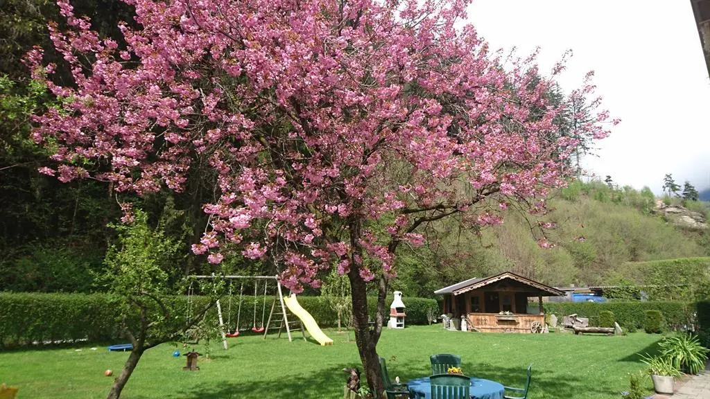 Haus Eberharter Spielplatz und Liegewiese
