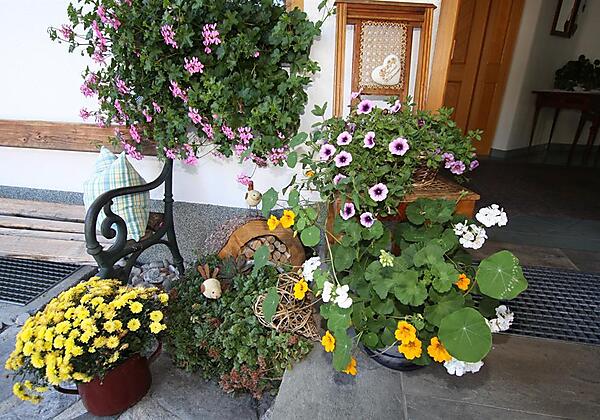 Herzlich Willlkommen