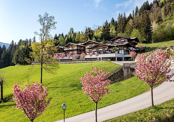 Das Kaltenbach im Frühling