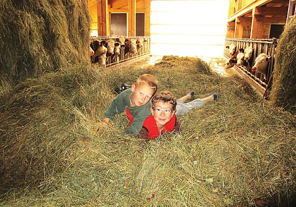 Kinder im Heu