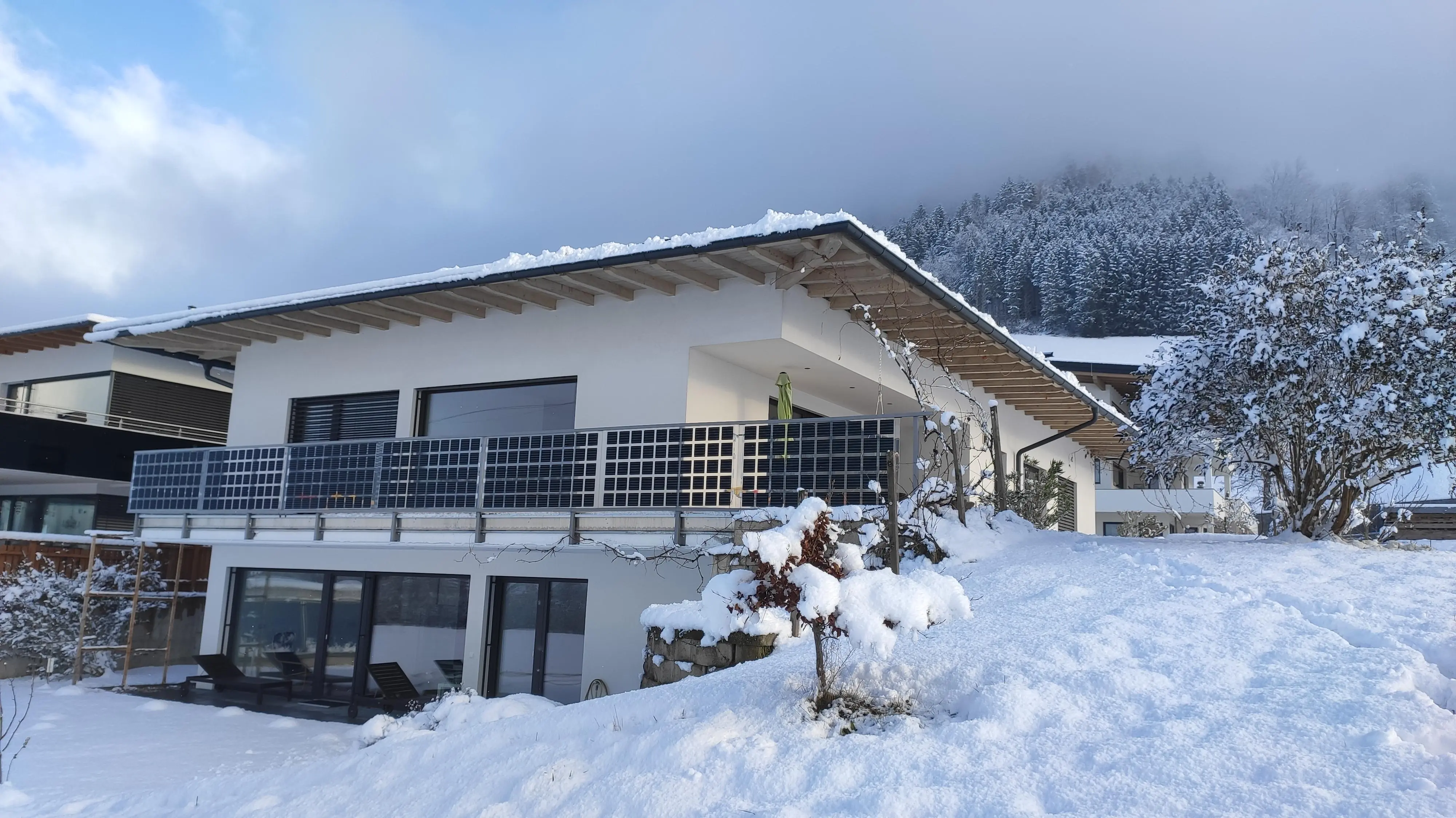 garden winter