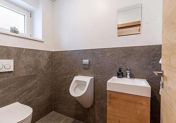 Apart_Painting_Moosweg_2_Ried_WC