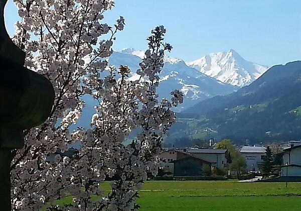 Apart Tyrol Frühlingserwachen