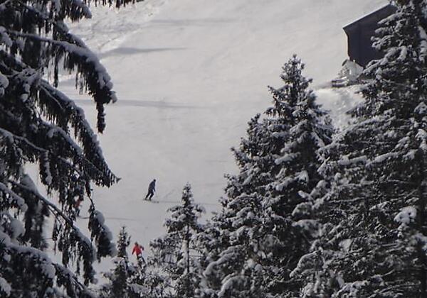 Blick auf die Talabfahrt hinter dem Apart