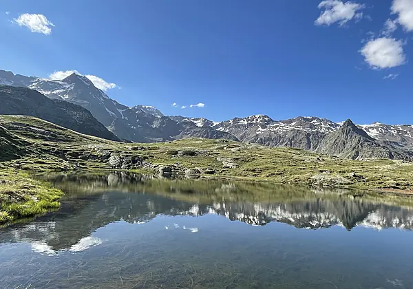 Sommerlandschaft