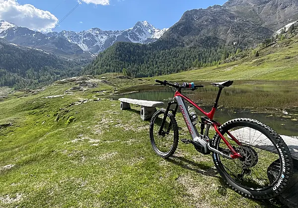 Sommerzeit genießen