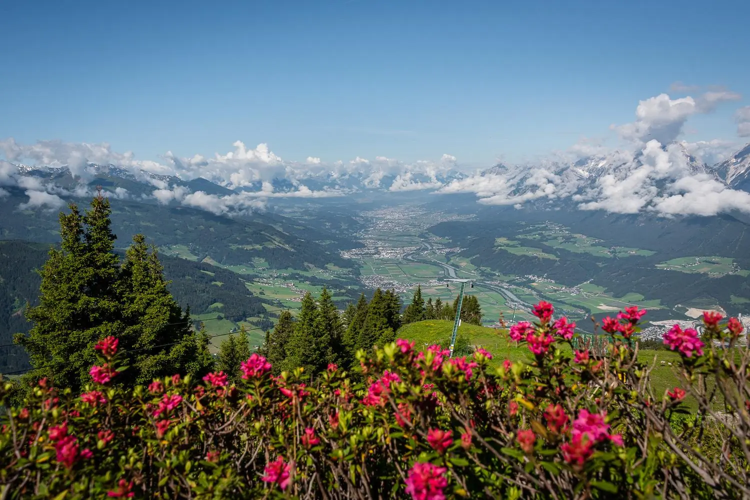 Hecher-Almrosen-©Silberregion-Karwendel