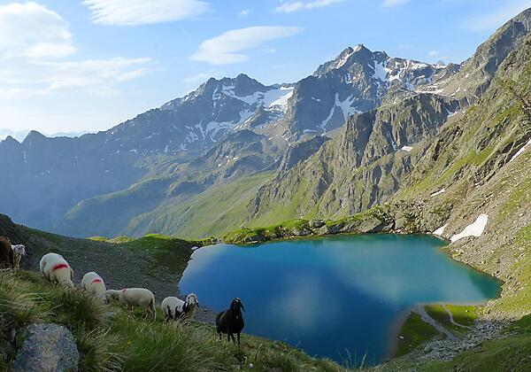 Weisser See