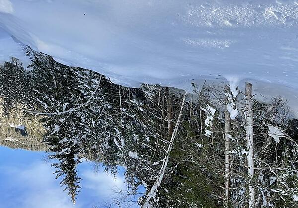 K800_37D910D0-939F-4EFE-9B03-51EF9D761FC3