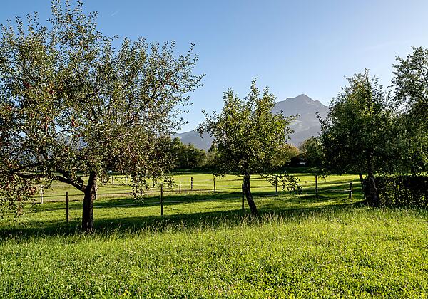 Apartment_Schmiedererhof_Niederhofen_25_St_Johann_