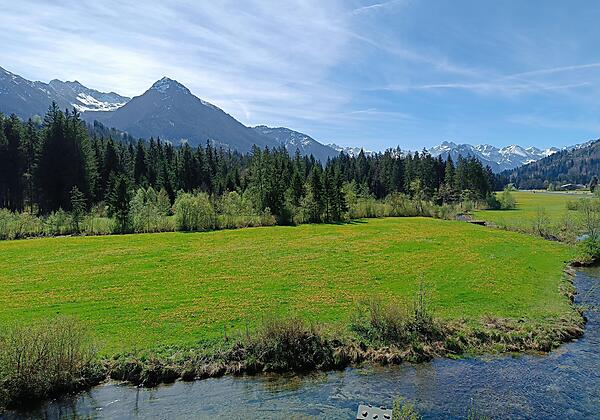 Jagdhof-Waibel FeWo 2024