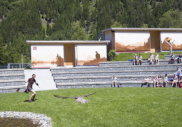 Greifvogelpark umhausen