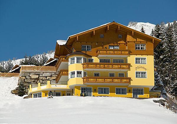 Alpenstern im Winter