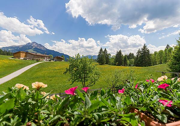Aussicht Appartement Kaiserluft