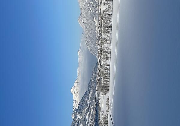 image00025